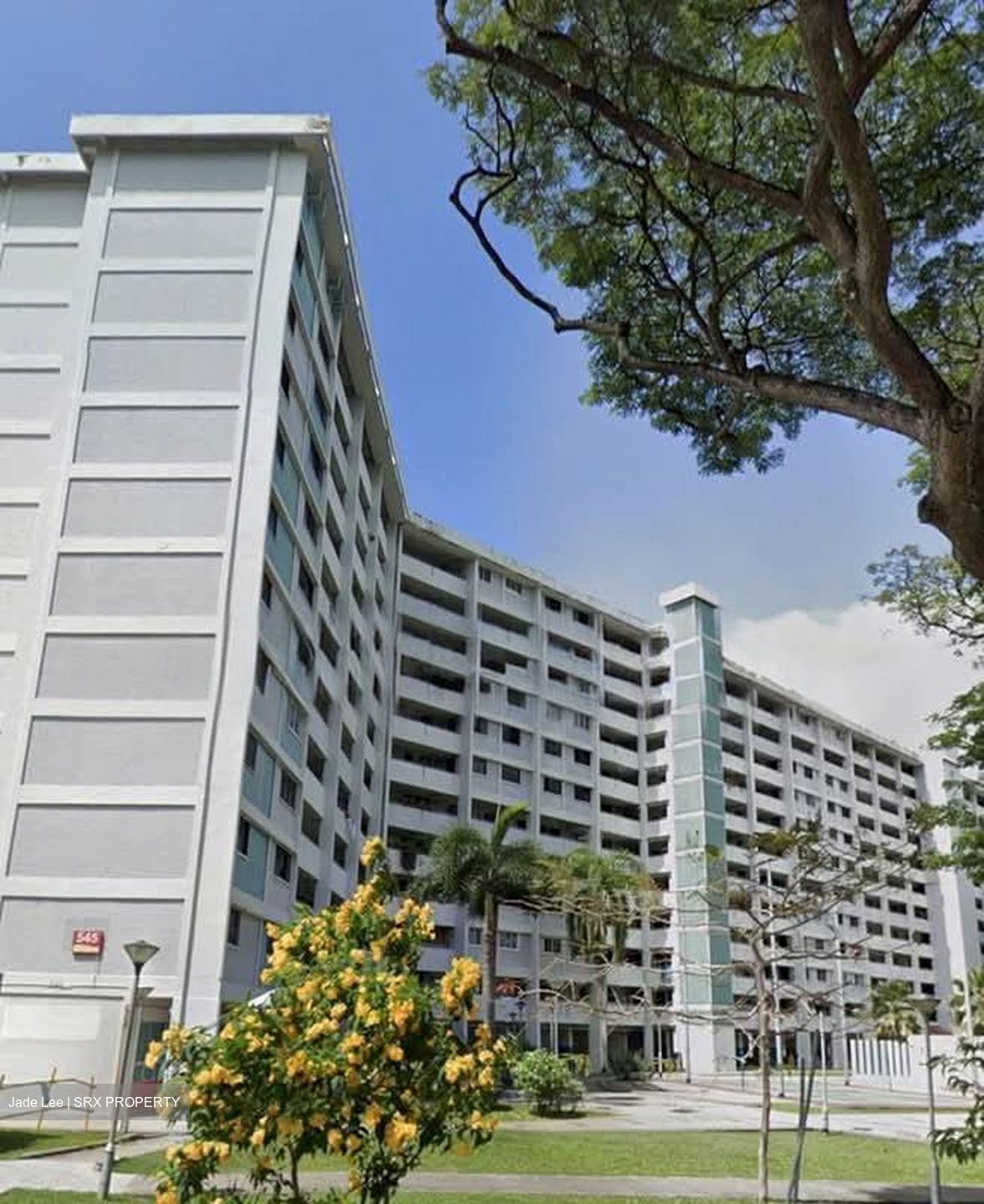 Blk 545 Bedok North Green (Bedok), HDB 3 Rooms #557341221